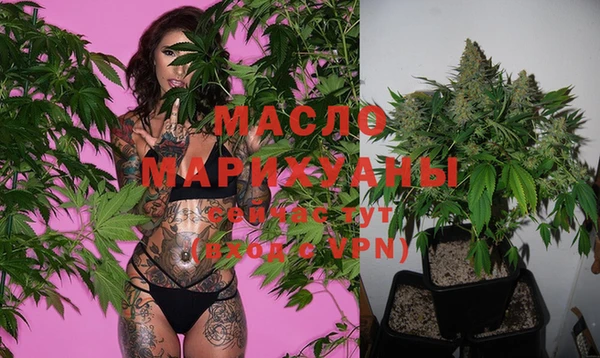 spice Инсар