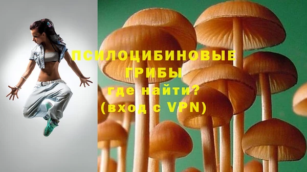 прущий лед Алексеевка
