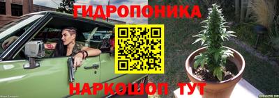 сатива Дубна