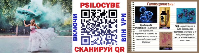 купить   ОМГ ОМГ вход  Галлюциногенные грибы Psilocybe  Родники 