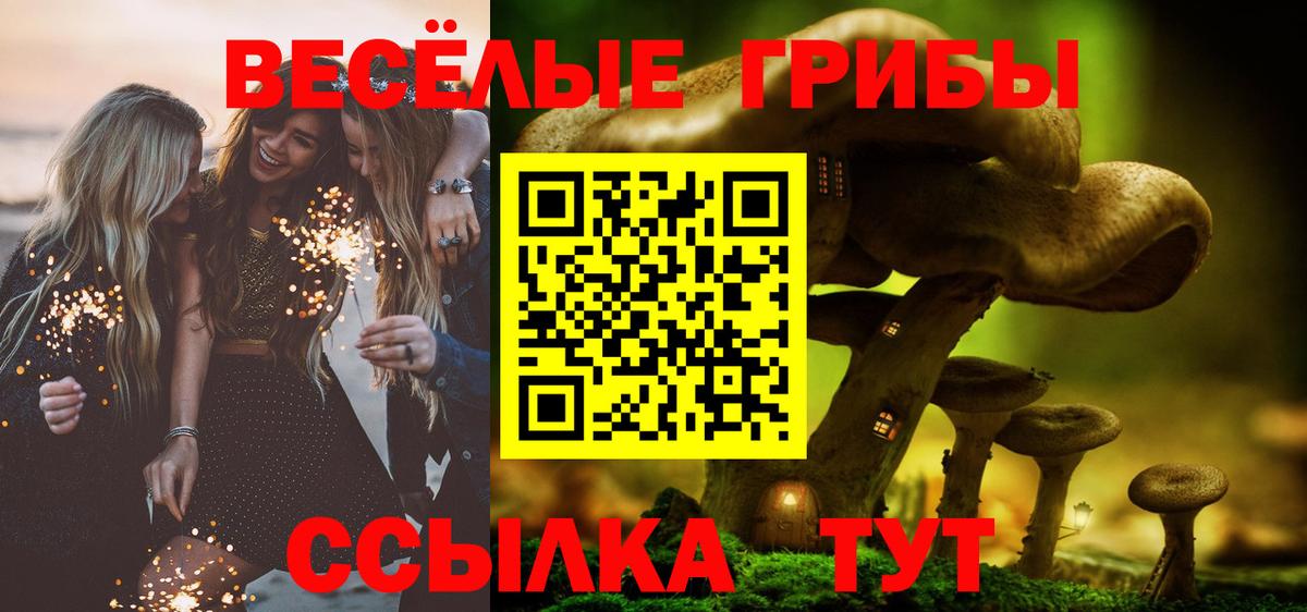 Псилоцибиновые грибы GOLDEN TEACHER Родники